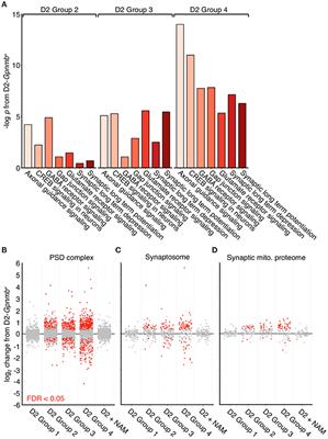 Nicotinamide and WLDS Act Together to Prevent Neurodegeneration in Glaucoma